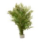 Dennerle Indischer Wasserstern, Aquariumpflanze mit filigranen, hellgrünen Blättern im Topf.