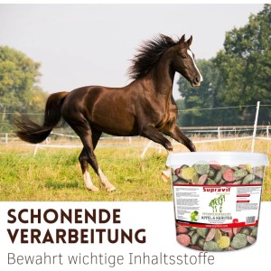 Braunes Pferd galoppiert auf grüner Wiese. Im Vordergrund Eimer Supravit Pferde Leckerlies Apfel und Kräuter.