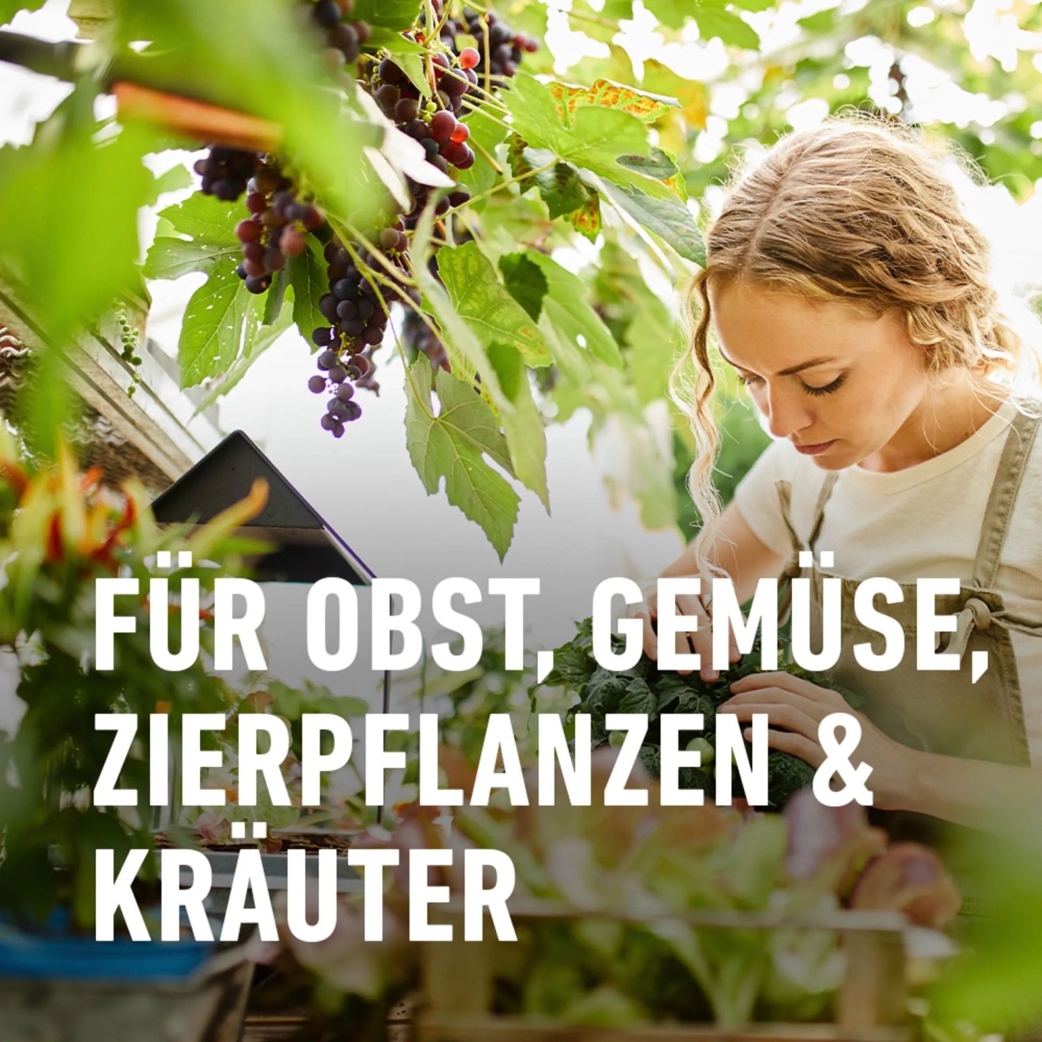 Compo Nativert Blattlaus-frei 750 ml AF Bio kaufen bei OBI