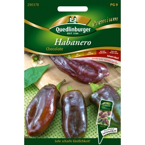 Quedlinburger Habanero Chocolate Chili Saatgut: Braune, scharfe Chili für Beet, Balkon & Gewächshaus.