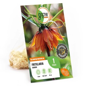 Verpackung der GROW by OBI Kaiserkrone Aurora, orangefarbene Fritillaria imperialis Blumenzwiebel.