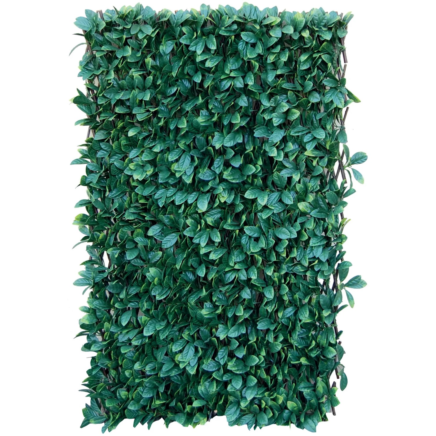Tenax Knstliche Hecke Divy 3D X-Tens Osmanthus 1 m x 2 m Grn kaufen bei  OBI
