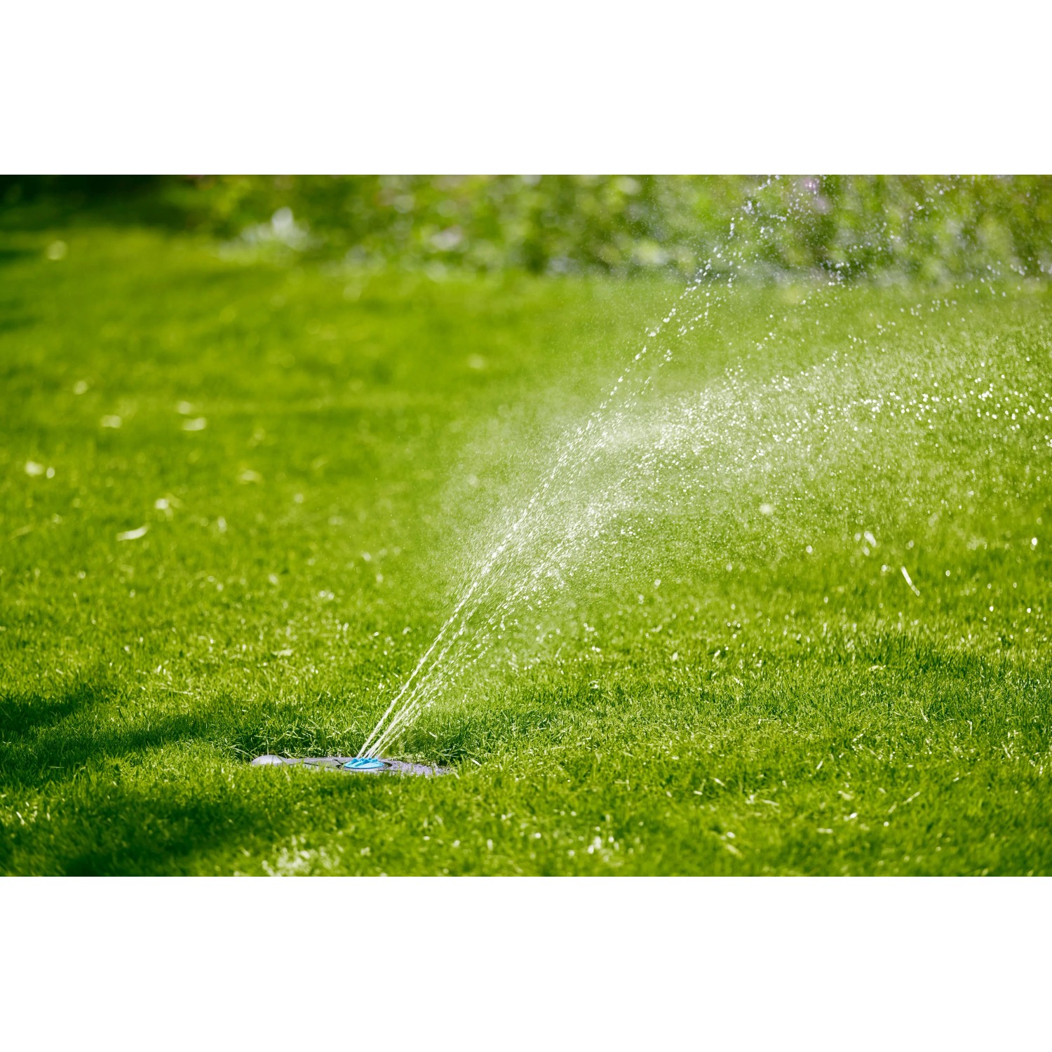 Gardena Pipeline Bewässerungssystem AquaPrecise in Aktion: Rasenbewässerung mit Solar-Komplettset.