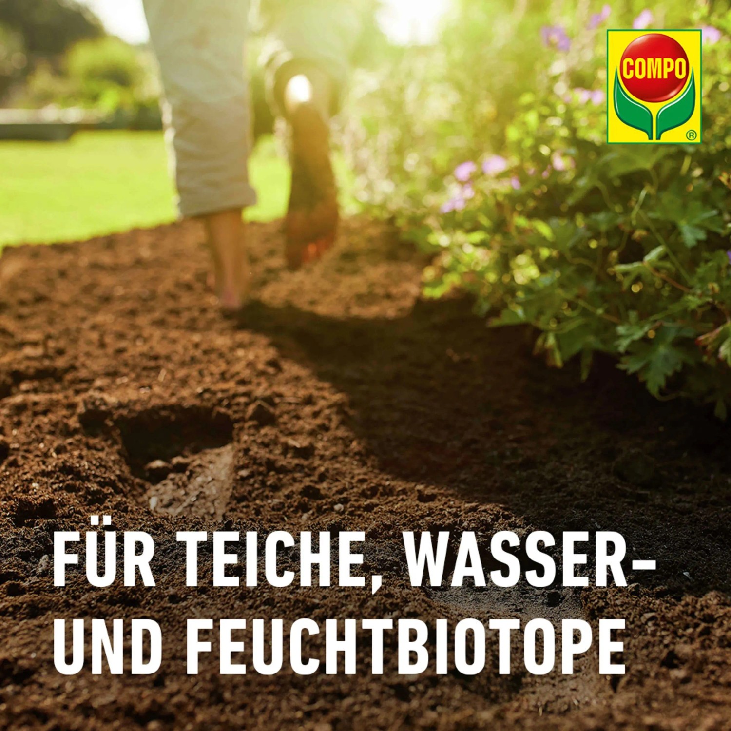beetbestellung mit saatgut Saatgut Geschenk-Set kaufen