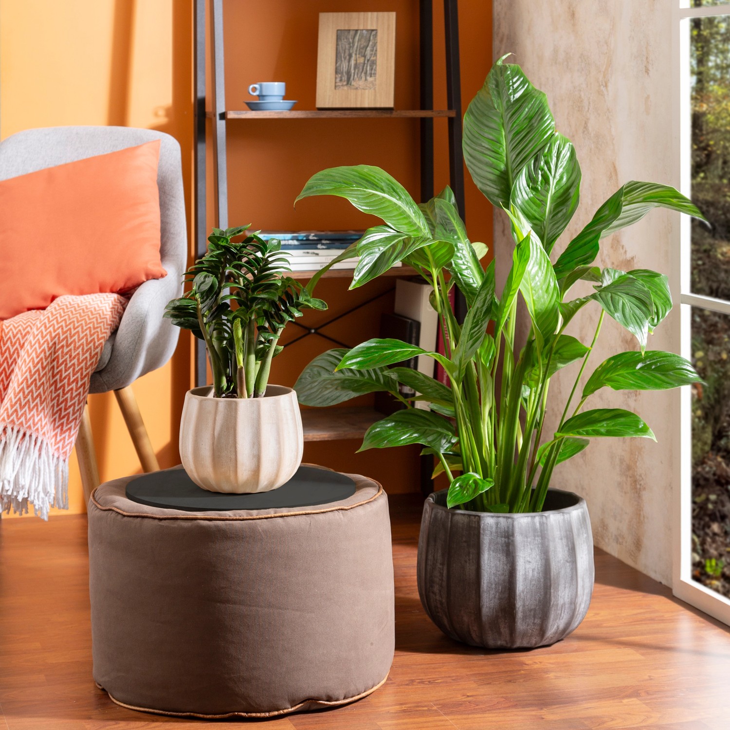 Scheurich Übertopf Runa, gewaschenes Grau, Ø 14 cm. Keramik Pflanzkübel für Innenräume.