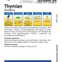 Kiepenkerl Thymian mehrjährig, aromatische Kräutersamen für Garten und Küche.