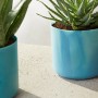 Elho Blumentopf Ocean Collection, Ø 16 cm, atlantikblau, mit Pflanze.