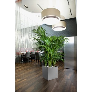 Lechuza Cube Premium Pflanzgefäß, 40 cm, Silber metallic, mit grüner Pflanze im Innenraum.