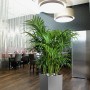 Lechuza Cube Premium Pflanzgefäß, 40 cm, Silber metallic, mit grüner Pflanze im Innenraum.