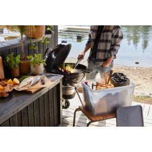 SmartStore Dry 31 Aufbewahrungsbox neben Grill mit Grillgut und Kohle.