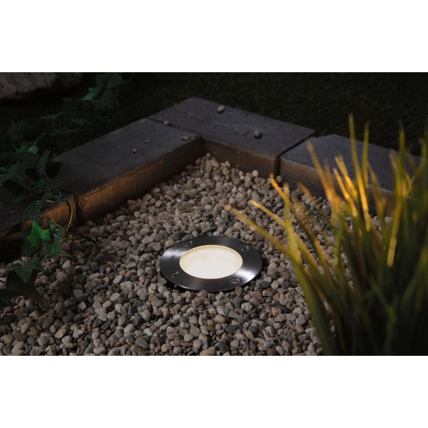 Paulmann LED-Bodeneinbaustrahler Plug & Shine, 24V, ZigBee, im Garten zwischen Steinen und Pflanzen.