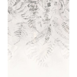 Komar Fototapete Ivy 200 cm x 250 cm