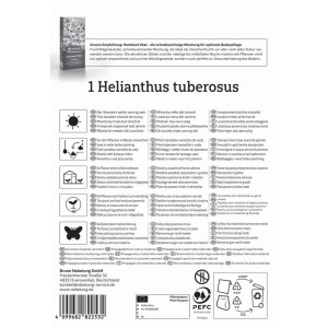 Kiepenkerl Topinambur Helianthus tuberosus