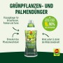 Compo Grünpflanzen- und Palmendünger 1L Flasche. Flüssigdünger für Zimmer-, Balkon- und Terrassenpflanzen.