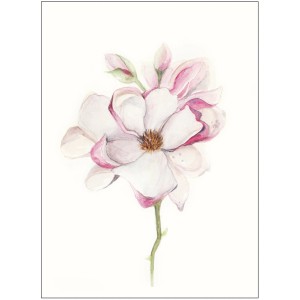 Wandbild: Zarte Magnolia Blüte in Aquarelloptik, 40x50 cm. Elegantes Bild für Wohnräume.