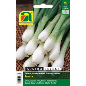 Austroselect Saatgut Bündelzwiebel Tundra: Weiße, runde Zwiebeln für den Anbau im Garten.