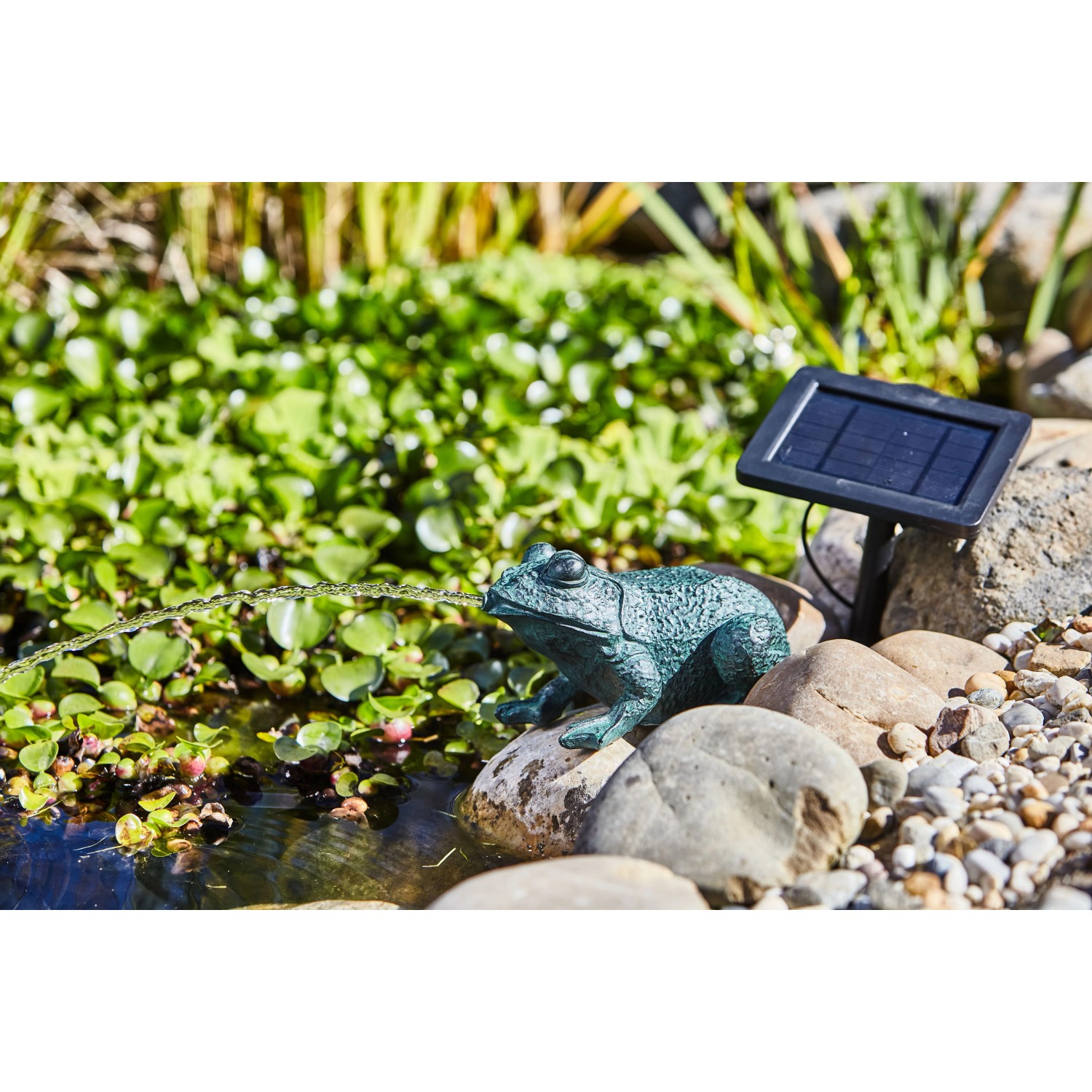 Heissner Teichfigur Frosch Set mit Pumpe 250 l/h Solar kaufen bei OBI