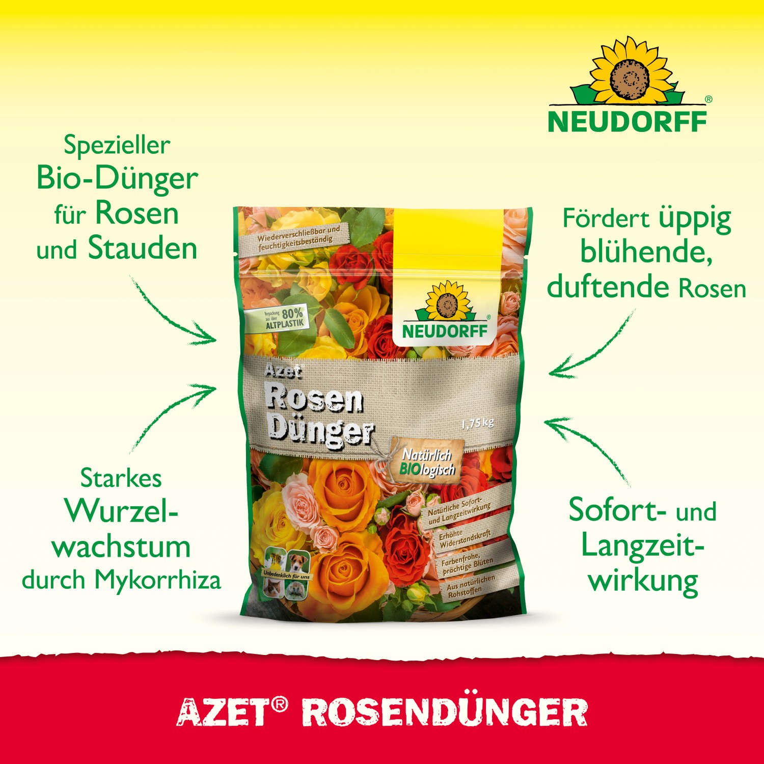 Neudorff Azet Rosen-Dünger 1,75kg: Bio Rosendünger für üppige Blüten und starkes Wachstum.