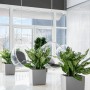 Lechuza Cube Premium Pflanzgefäß, 40 cm, Silber metallic, mit grünen Pflanzen in modernem Ambiente.