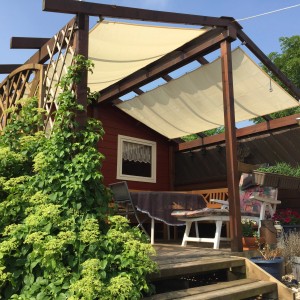 Peddy Shield Bausatz Pergola inkl. Sonnensegel 420 cm x 140 cm Elfenbein