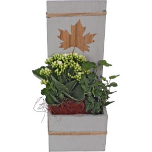 Herbstliches Arrangement mit Flammendem Käthchen, Efeu in grauem Holzgefäß mit Ahornblatt.