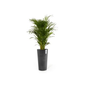 Ecopots Pflanztopf Amsterdam Halbhoch Dunkelgrau 34 cm x 66 cm