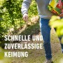 Person sät Compo Rasen Nachsaat Turbo. Rasensamen für schnelle Rasenreparatur.