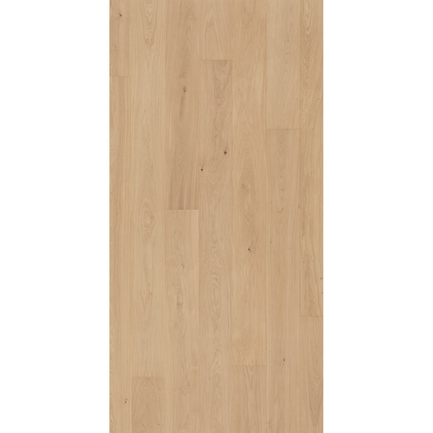 Parador Parkett Basic Classic Eiche Pure matt, Landhausdiele. Helles Eichenholz mit matter Oberfläche.