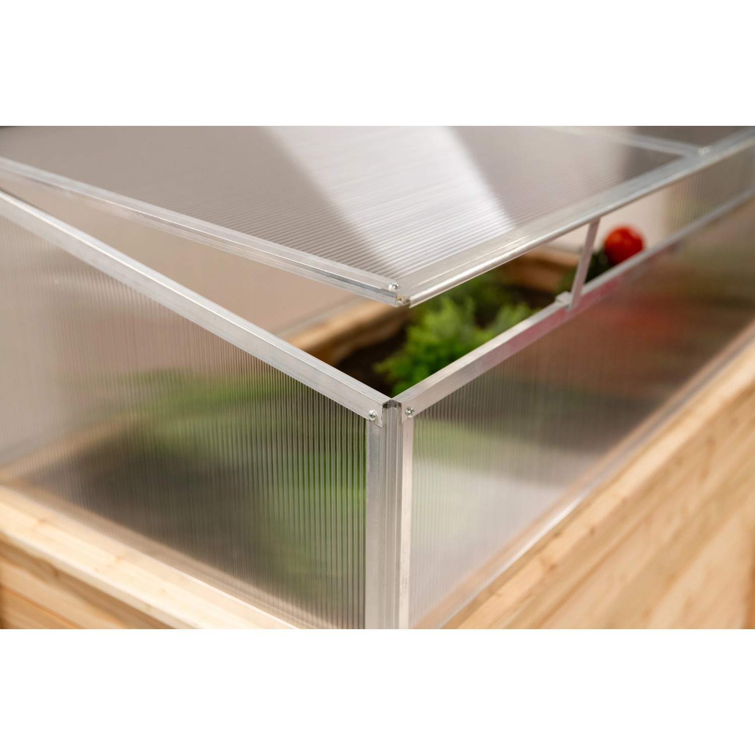 Westmann Frühbeetaufsatz Genus 100 auf Hochbeet, mit geöffnetem Deckel.