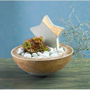Glorex Gießform Stern 15 cm in Schale mit Sukkulente und weißen Steinen.