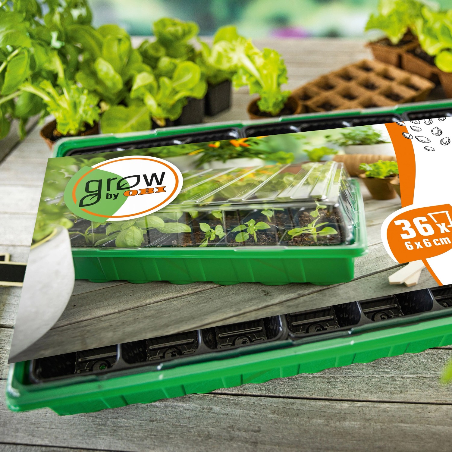 Zimmer-Gewächshaus inklusive 36 Anzuchttöpfen_5