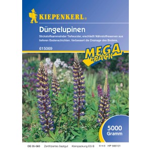 Kiepenkerl Düngelupinen Samen für Gründüngung im Gartenboden.