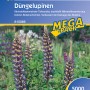 Kiepenkerl Düngelupinen Samen für Gründüngung im Gartenboden.