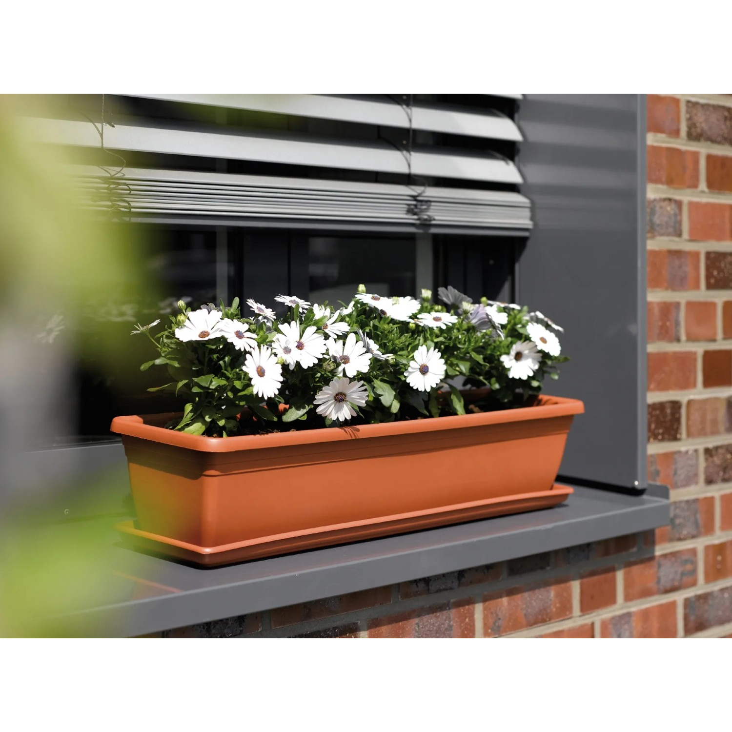 bellissa pflanzstab bellissa Pflanzstab 120 cm Ø 11mm – Rasenkante 24 main image 0