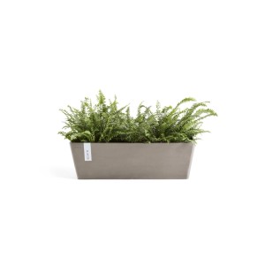 Ecopots Pflanztopf Bruges, braungrauer Blumenkasten (55x17cm) mit Farnen.