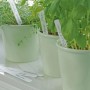 Stecketiketten (12 cm, 20 Stk.) in Pflanztöpfen mit Kräutern, beschriftet.