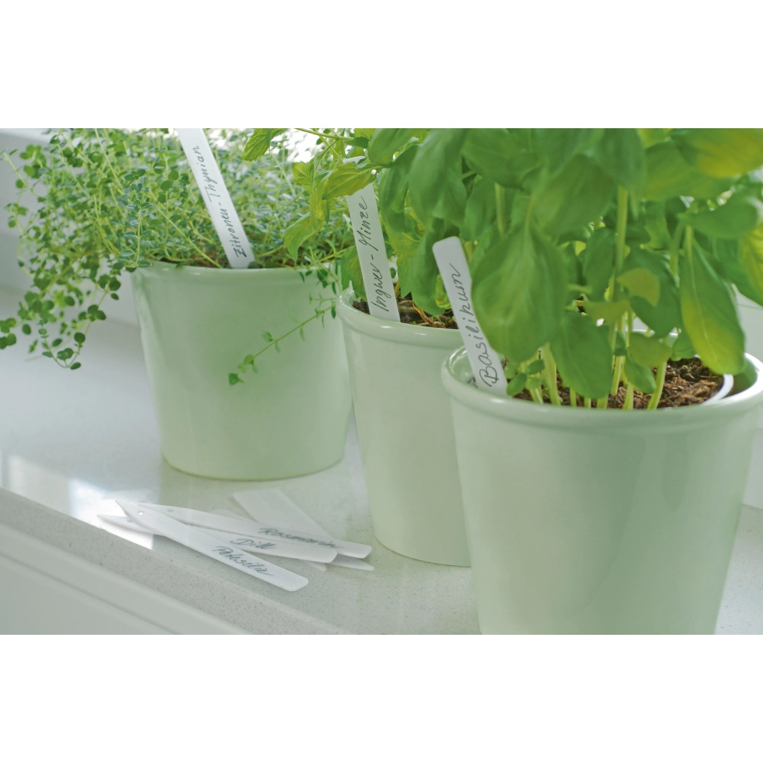 Stecketiketten (12 cm, 20 Stk.) in Pflanztöpfen mit Kräutern, beschriftet.