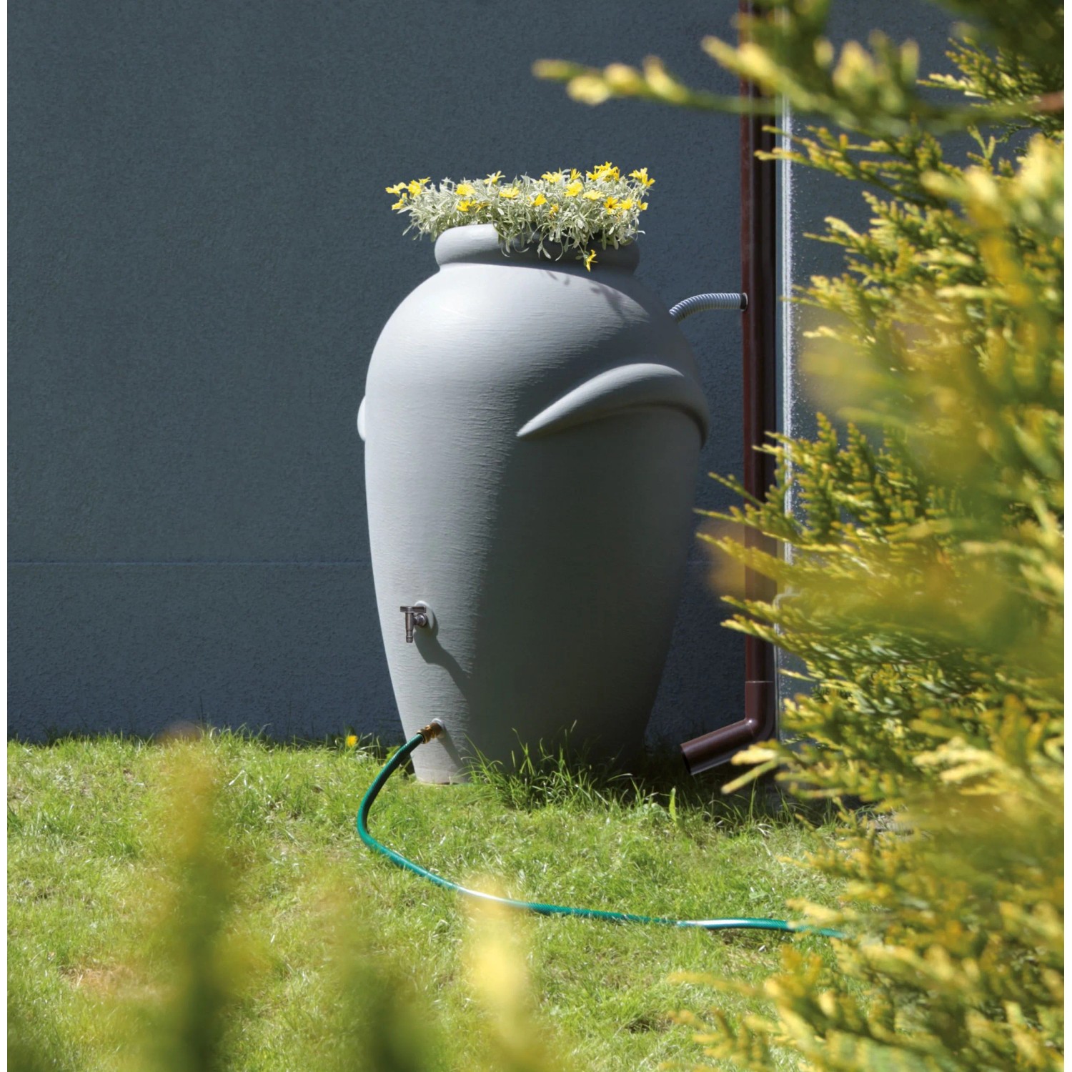 Graue Waterform Regentonne Aquacan 360 l im Amphoren-Design mit Bepflanzung.