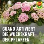 Compo Düngestäbchen für Balkon- und Kübelpflanzen mit Guano 30 Stäbchen_6