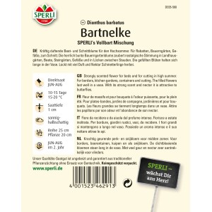 Samenpackung Sperli Bartnelke Vollbart Mischung mit mehrfarbigen, dicht gefüllten Blüten.