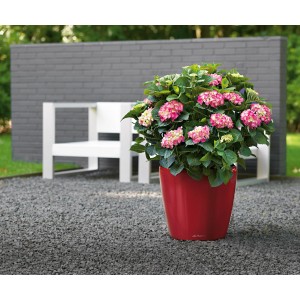 Lechuza Classico Premium LS, Ø 43 cm, scharlachrot, hochglanz, mit Hortensie im Garten.