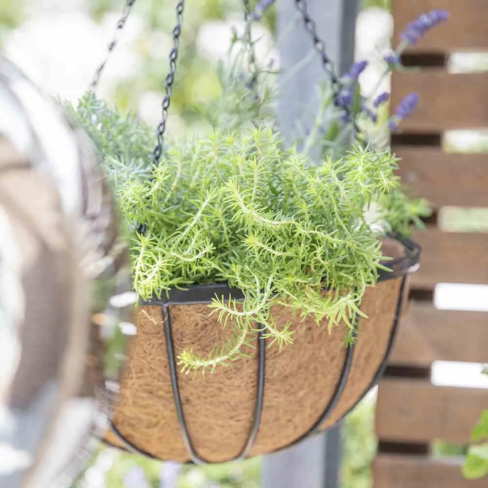 Kokoseinleger Ø 35 Cm Für Hängeampeln – Reines Naturprodukt Aus Kokosfaser