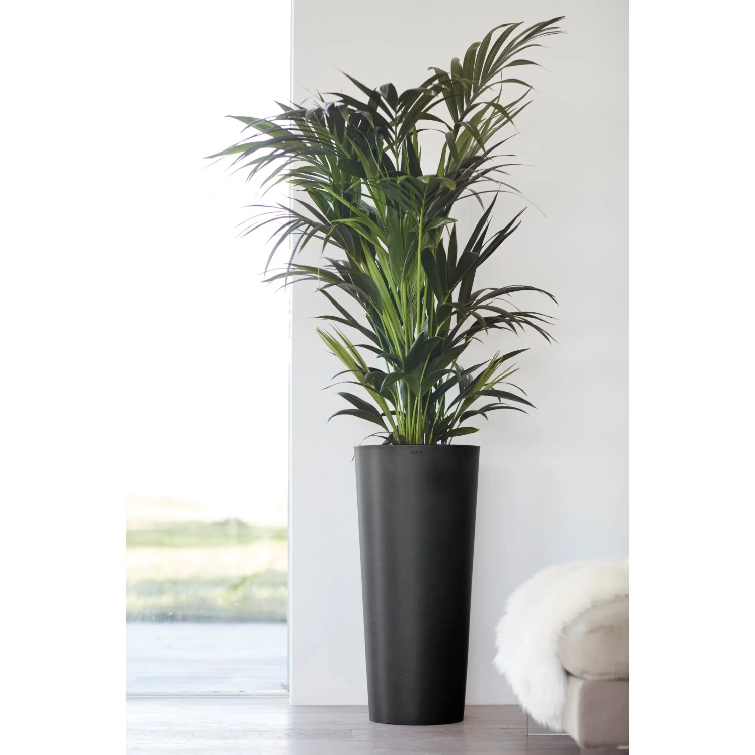 Ecopots Pflanztopf Amsterdam hoch Dunkelgrau 70 cm kaufen bei OBI