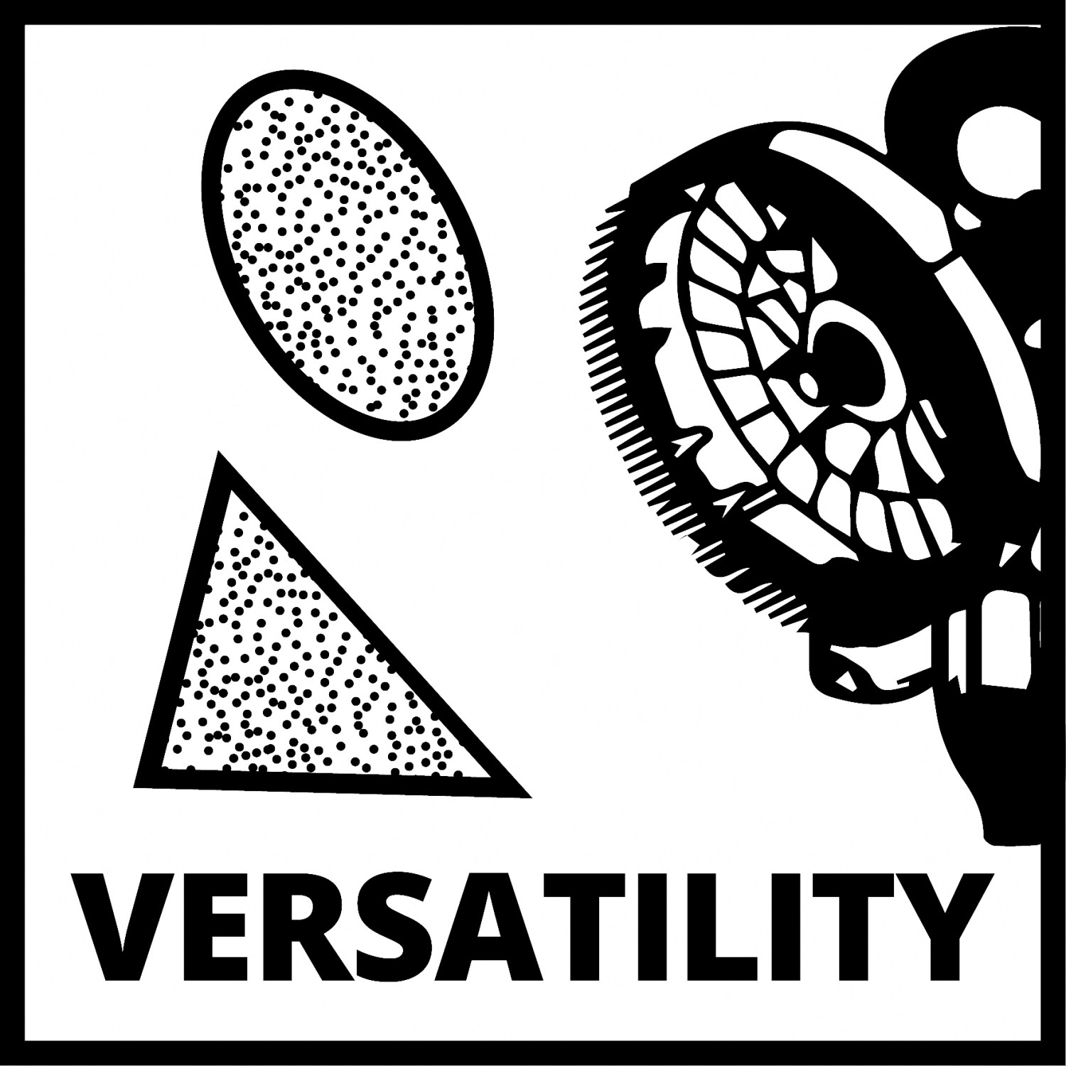 Symbolbild: Einhell Trockenbauschleifer TC-DW 225 X mit runden und dreieckigen Schleifscheiben.