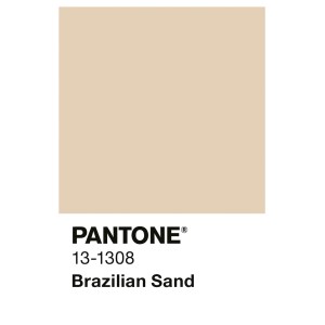Alpina Innenfarbe Brazilian Sand: Quadratischer Farbmuster in mattem Sandbeige mit Pantone-Bezeichnung. Warme Wandfarbe.