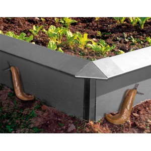 Bellissa Schneckenzaun aus Stahlblech, 20x100x7 cm, mit Schnecken am Beetrand.