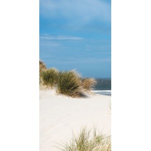 Sanowall Duschrückwand Nordsee Links mit Dünenlandschaft und blauem Himmel.