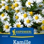 Kiepenkerl Echte Kamille: Einjährige Kräutersamen mit weißen Blüten und gelber Mitte.