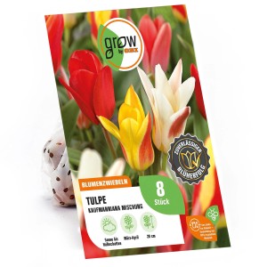 GROW by OBI Tulpenmischung 'Peacock', 8 Stück, verschiedene Farben. Blumenzwiebeln für Beet und Garten.