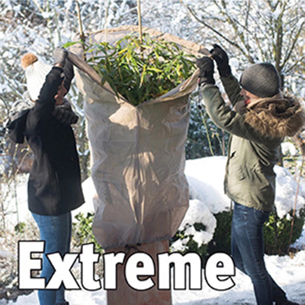 Videx Garden WintervliesThermomantel XXL Extreme Beige 300 cm x Ø 200